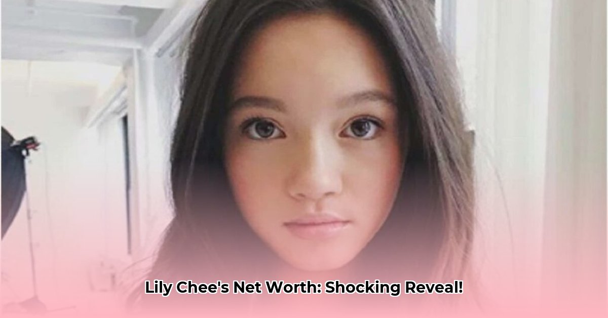 lily-chee-net-worth
